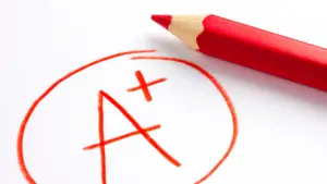 10 Tips for a Successful 7th Grade Year – Bloom Magnificence