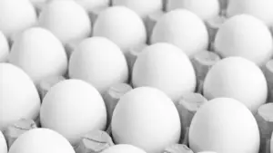 How Long Do Eggs Last? – Bloom Magnificence