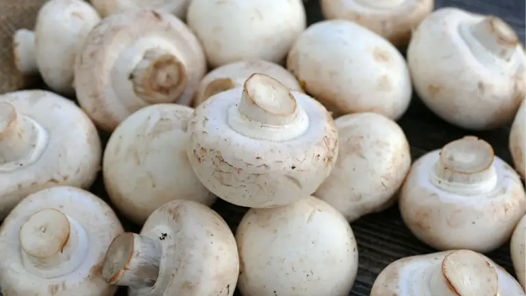 How Long Do Mushrooms Last In Fridge?