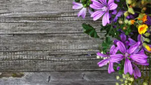 10 Dream Meaning Crush – Bloom Magnificence